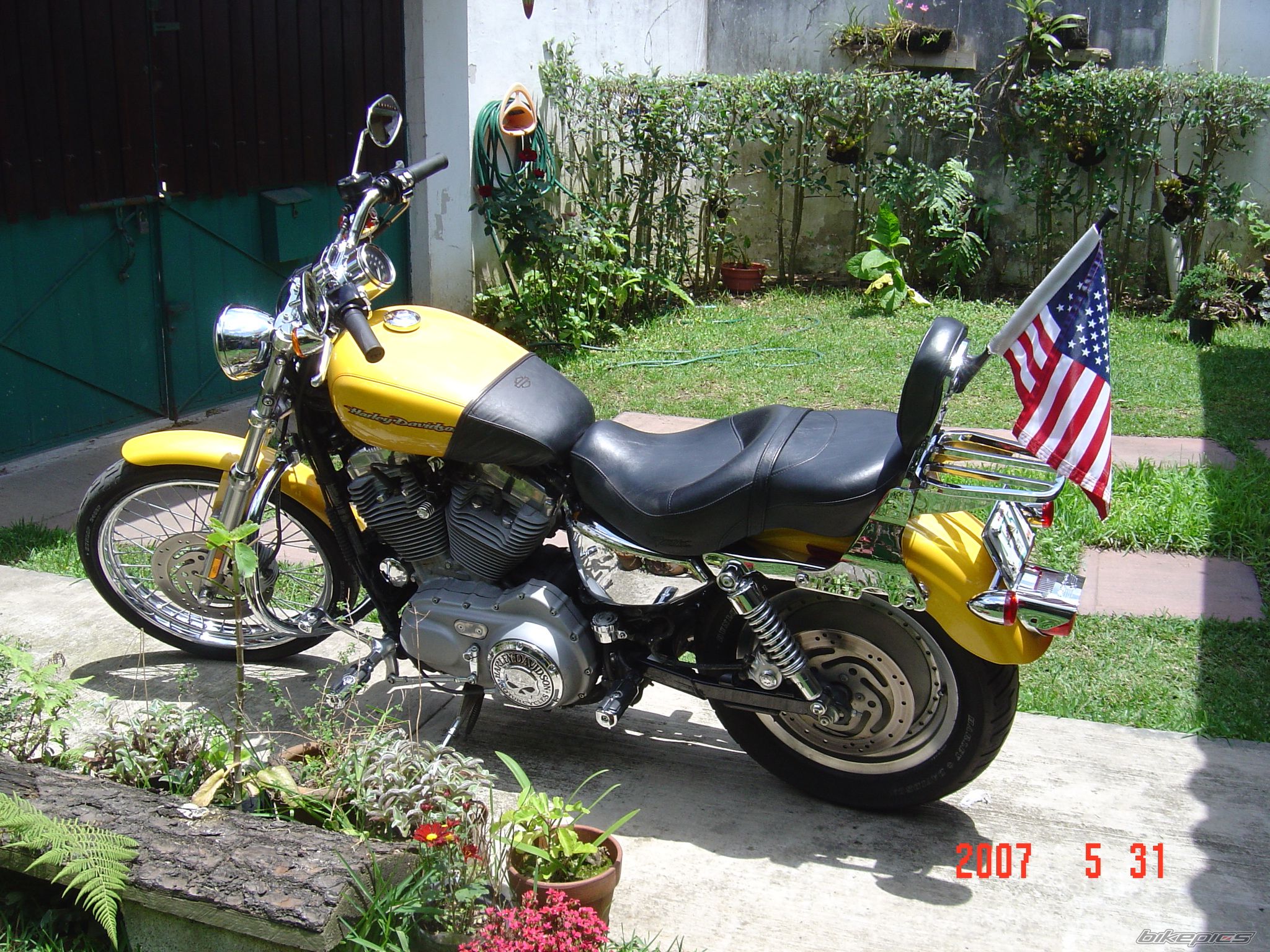 2005 HARLEY DAVIDSON XL 883C | Picture 929418 motorcycle photo