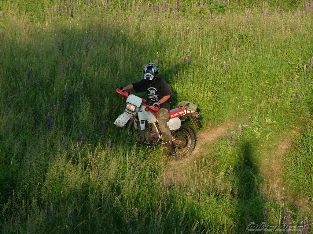 1995 YAMAHA DT 80 | Picture 929424 motorcycle photo
