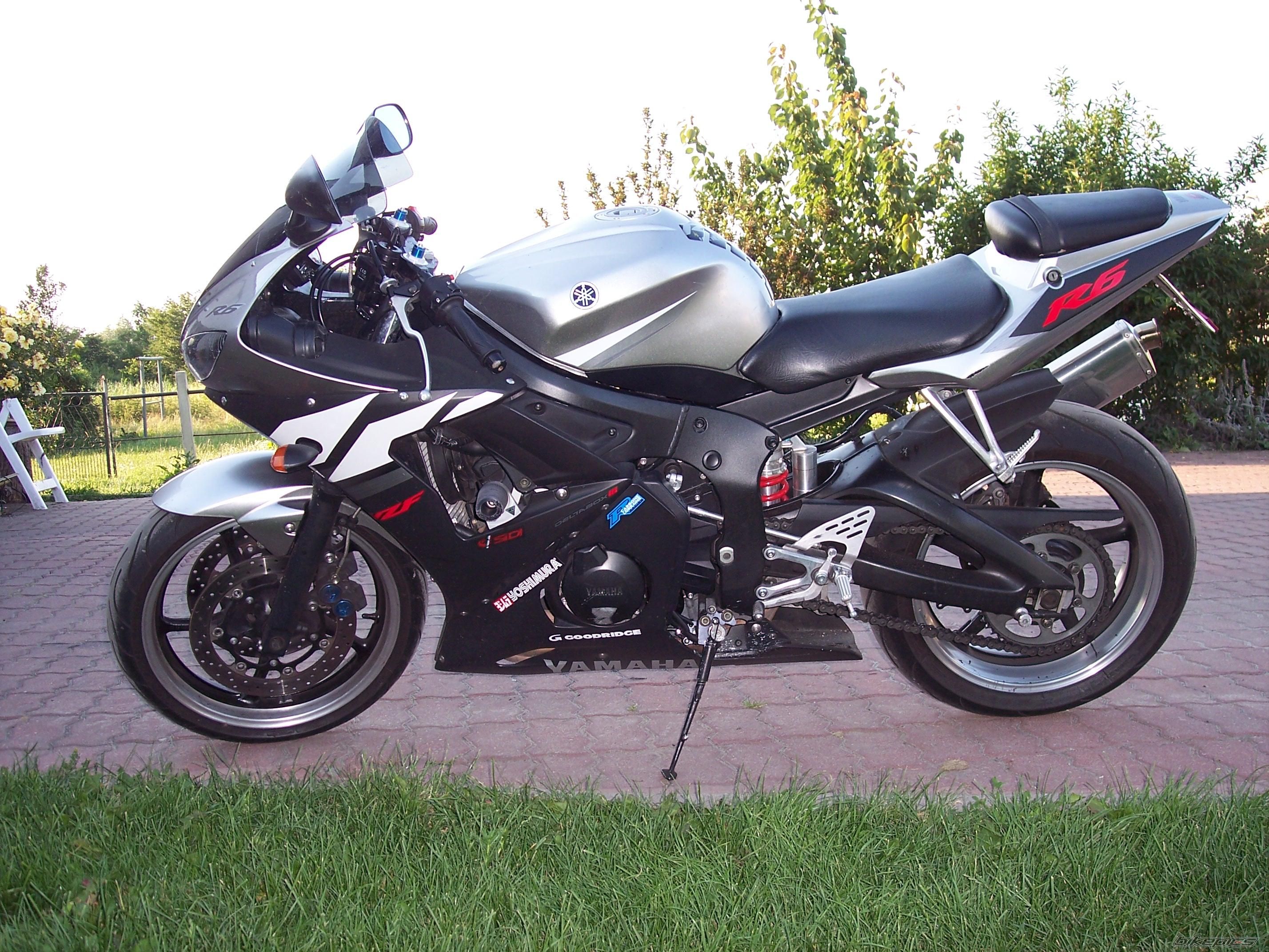 2003 YAMAHA YZF R6 | Picture 929659 motorcycle photo