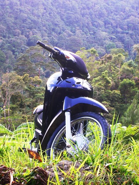 2007 HONDA WAVE 100 | Picture 929913 motorcycle photo