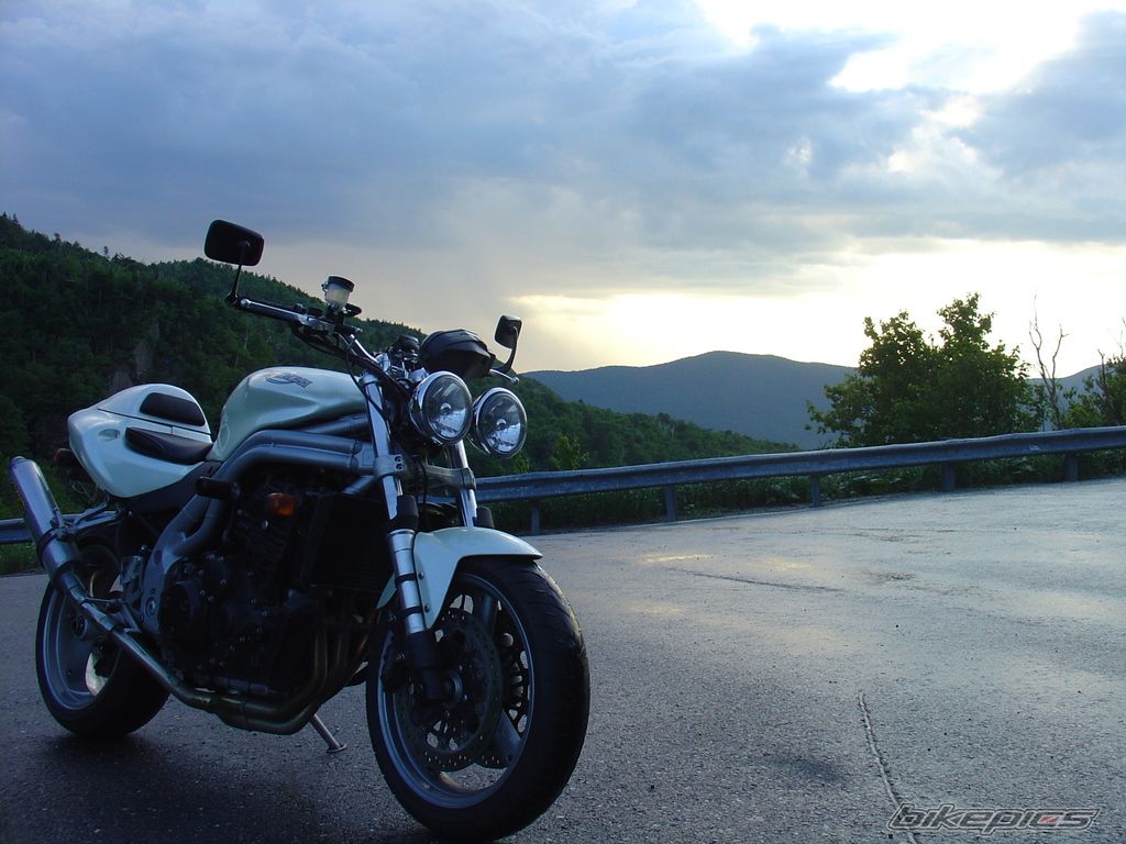 2002 TRIUMPH SPEED TRIPLE | Picture 930316 motorcycle photo