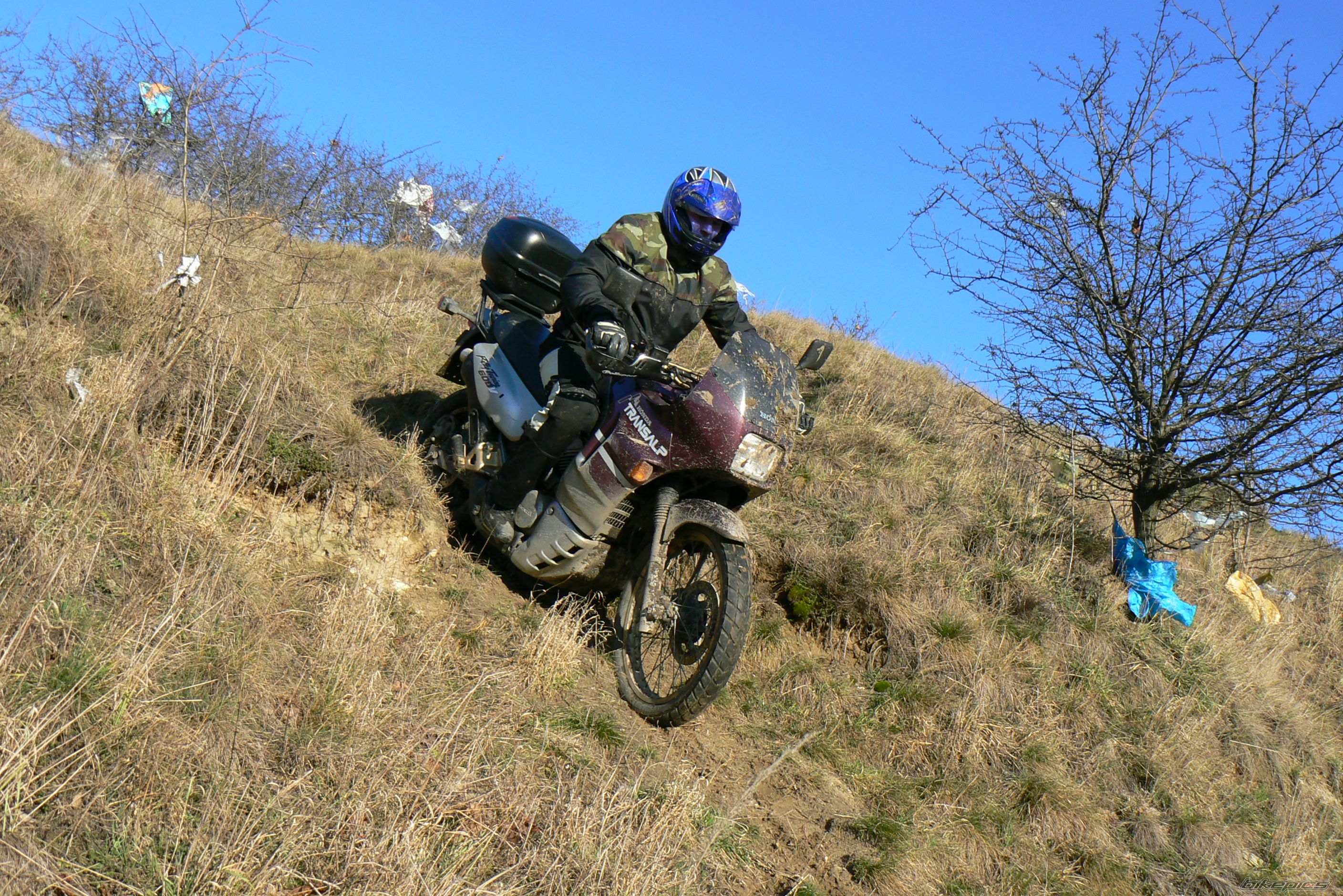 1995 HONDA XL 600V TRANSALP | Picture 930473 motorcycle photo