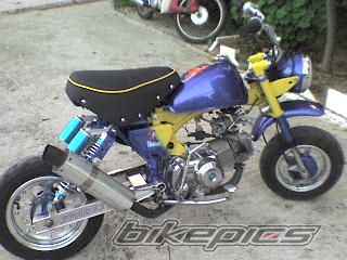 2007 HONDA Z 50 | Picture 930853 motorcycle photo