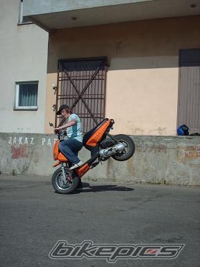 2003 YAMAHA EW 50 SLIDER | Picture 931287 motorcycle photo