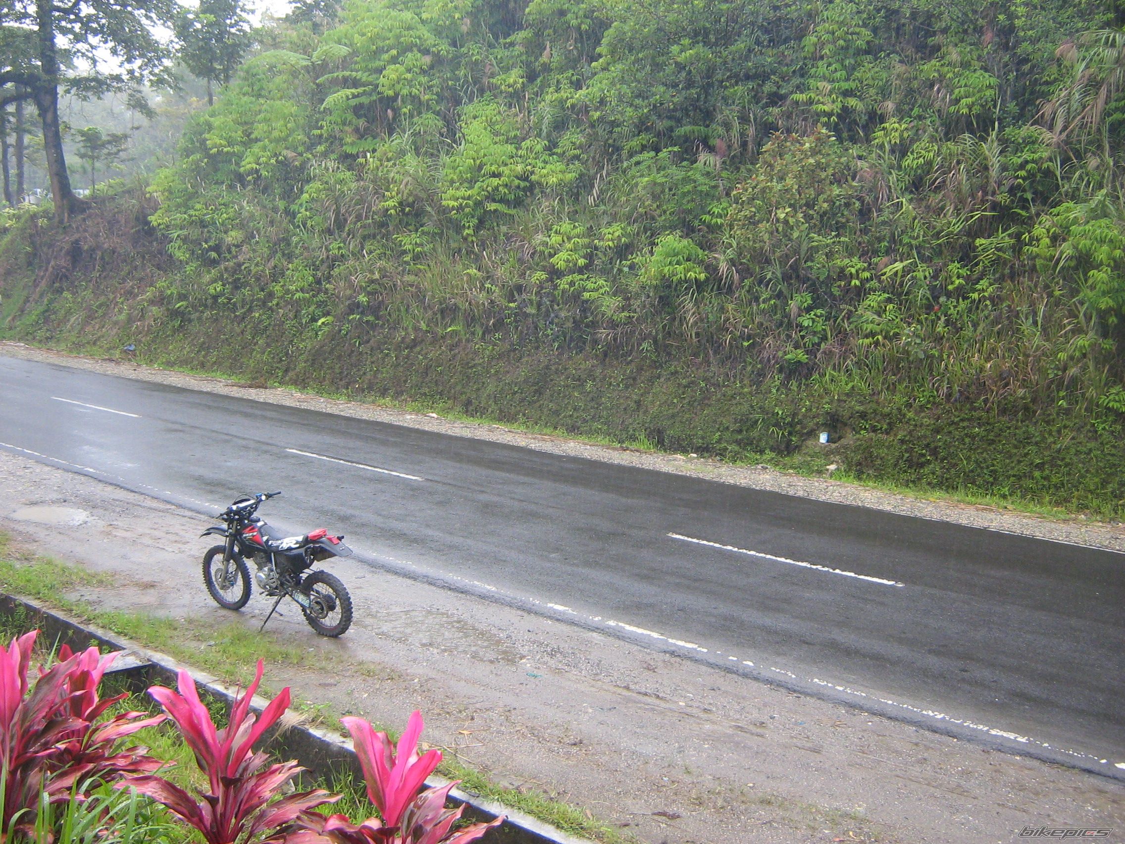 2007 HONDA XR 200 | Picture 931315 motorcycle photo