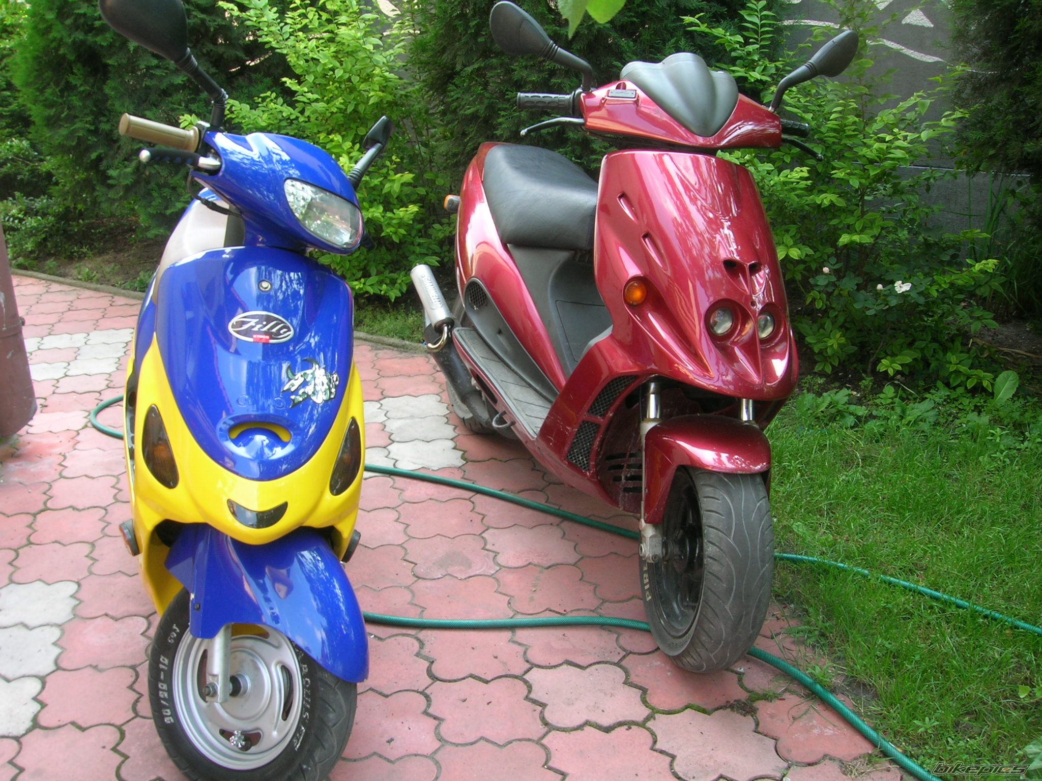 2000 KYMCO FILLY 50 | Picture 931555 motorcycle photo