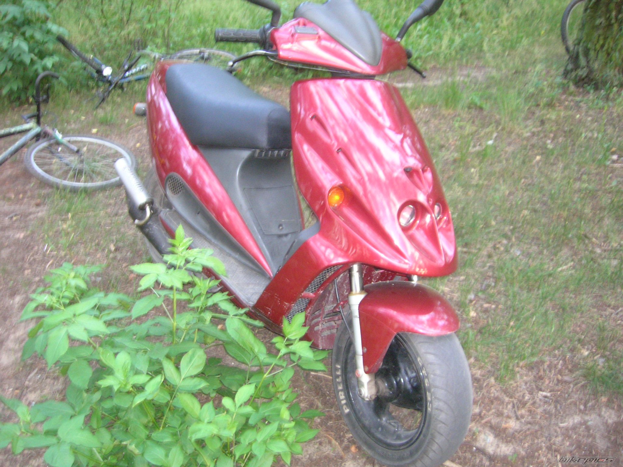 2000 KYMCO FILLY 50 | Picture 931847 motorcycle photo