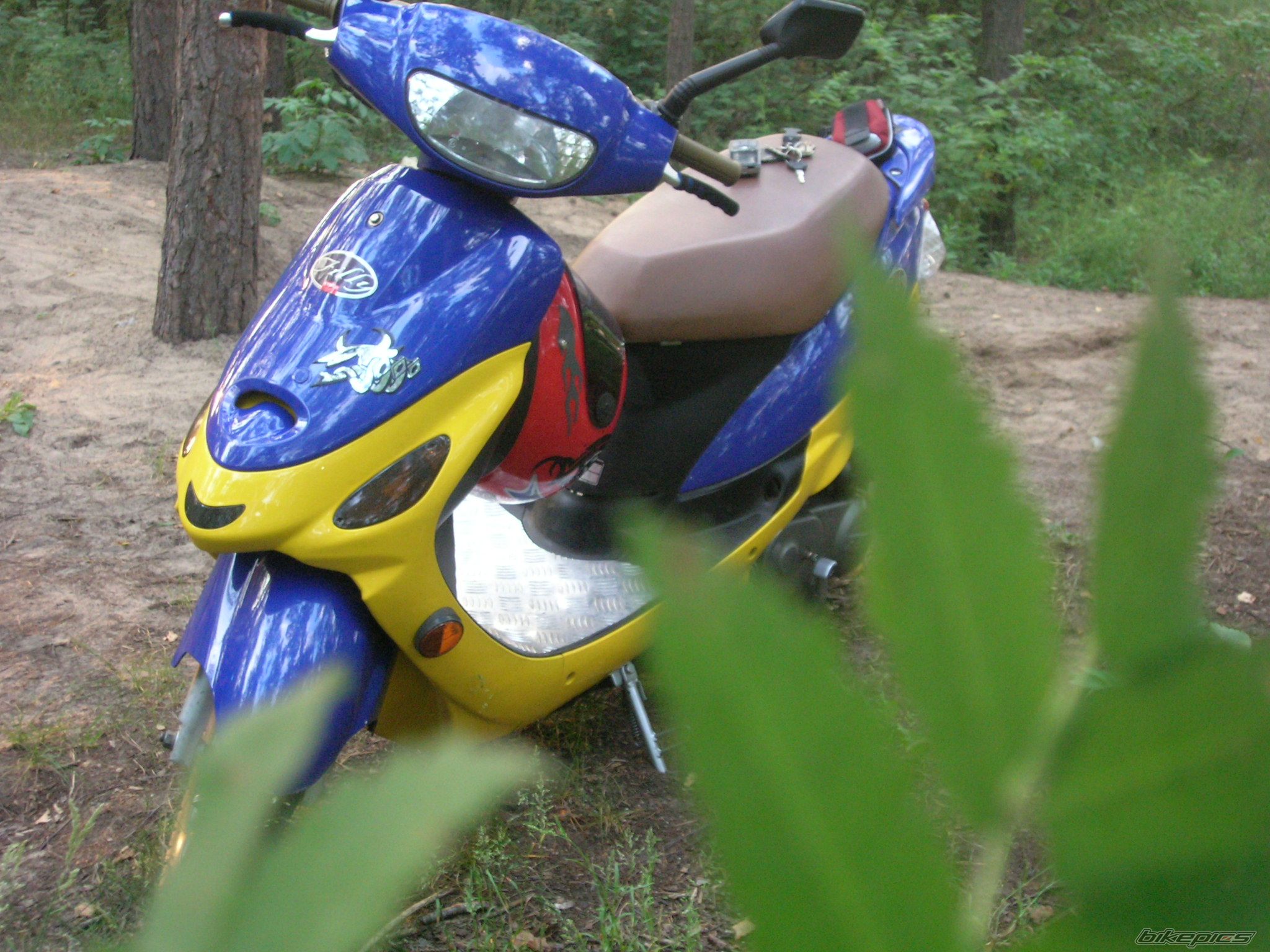 2000 KYMCO FILLY 50 | Picture 931851 motorcycle photo