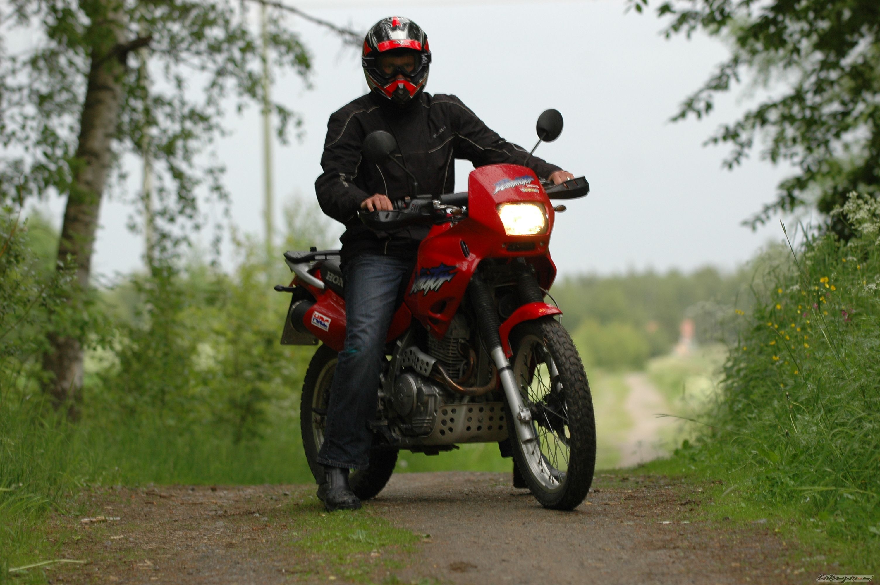 1998 HONDA NX 650 DOMINATOR | Picture 932240 motorcycle photo