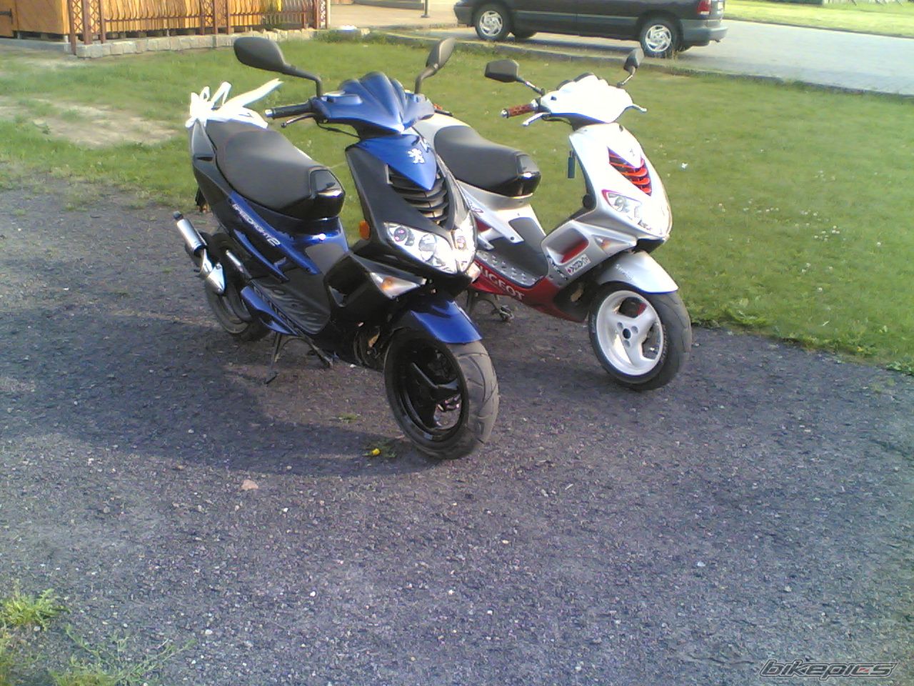 2003 PEUGEOT SPEEDFIGHT2 50 | Picture 932831 motorcycle photo