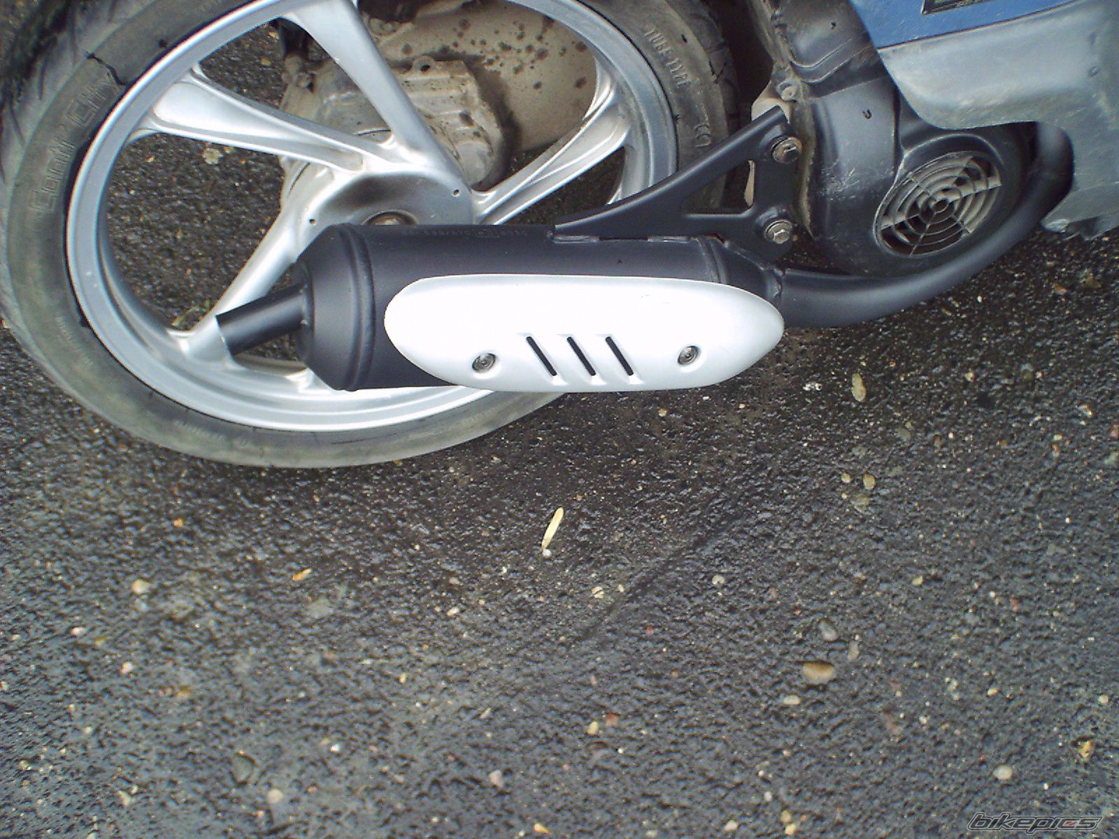 1999 HONDA SKY 50 | Picture 933047 motorcycle photo