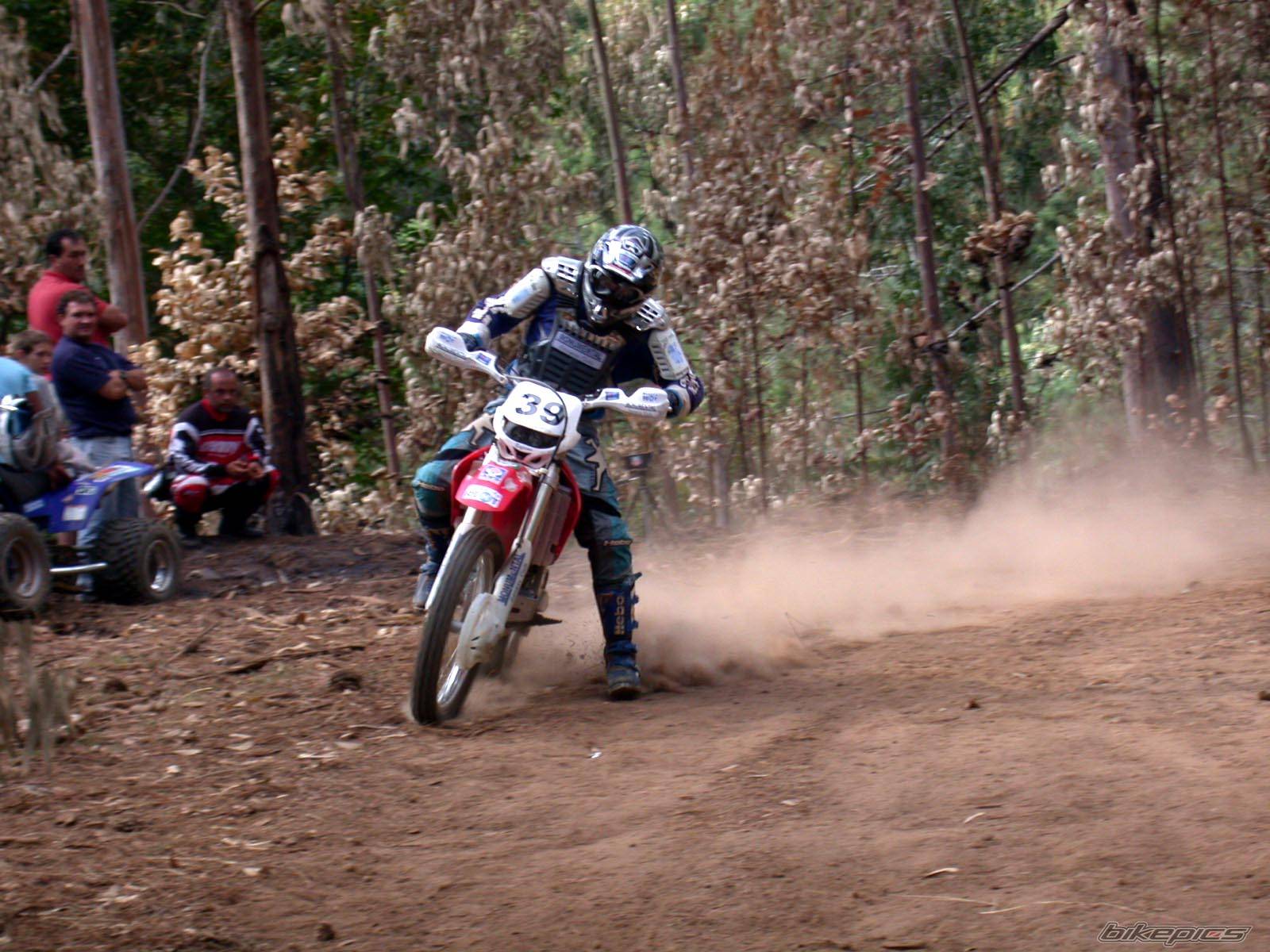 2003 HONDA CRF 450 | Picture 93318 motorcycle photo