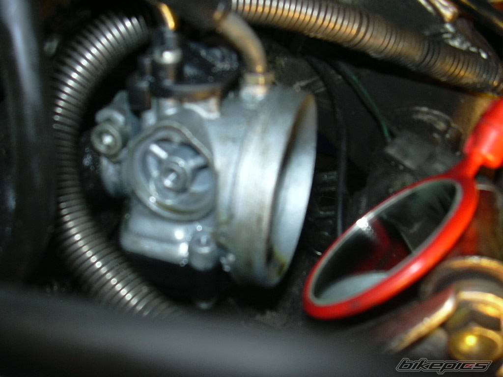 1996 CAGIVA PRIMA 50 | Picture 93350 motorcycle photo