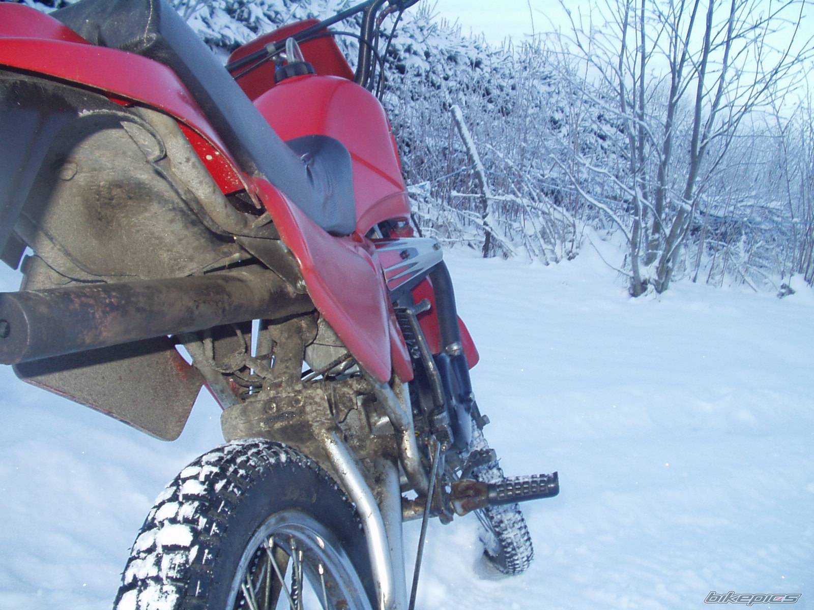 1993 SUZUKI S1 | Picture 93497 motorcycle photo