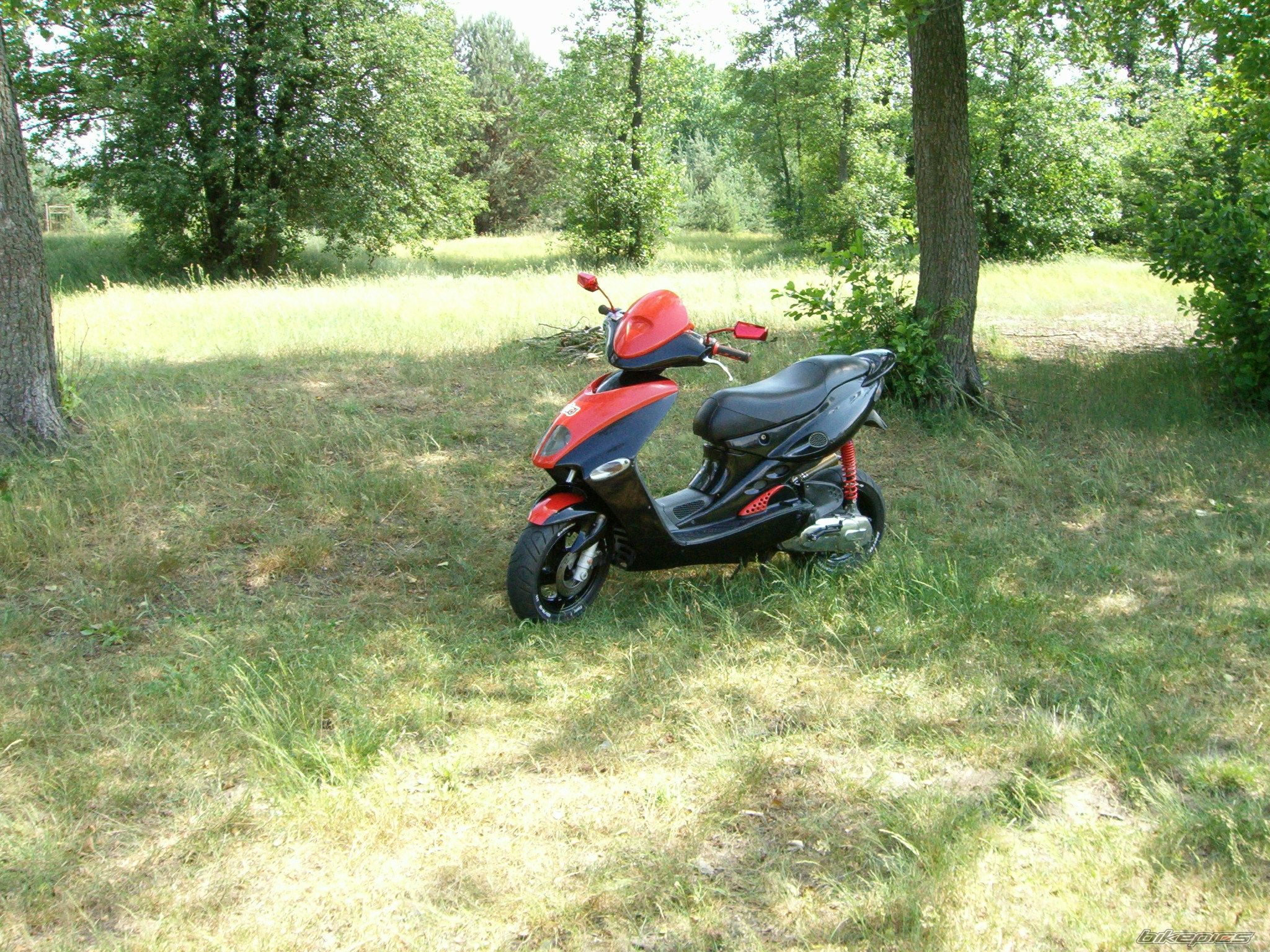 1997 MALAGUTI FIREFOX 50 F15 | Picture 935500 motorcycle photo