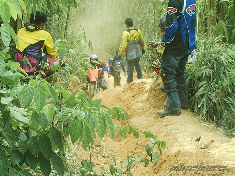 2003 KAWASAKI KMX 125 | Picture 935557 motorcycle photo