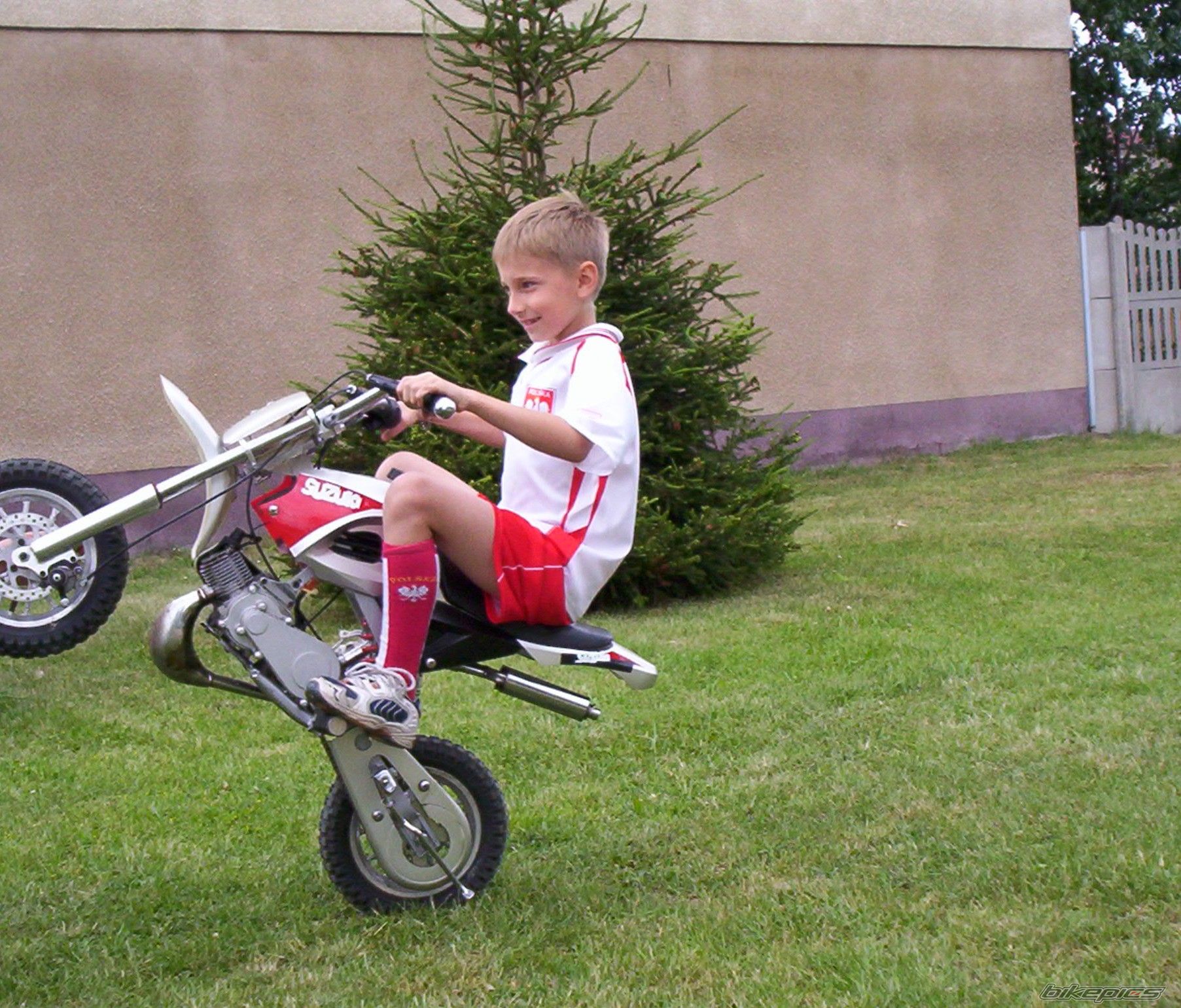 2007 SUZUKI K 50 | Picture 936042 motorcycle photo