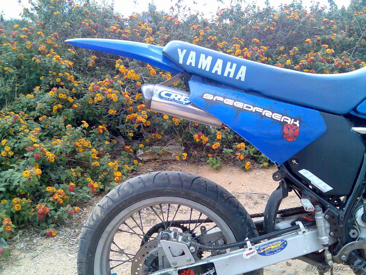 2000 YAMAHA DT 125 | Picture 936624 motorcycle photo