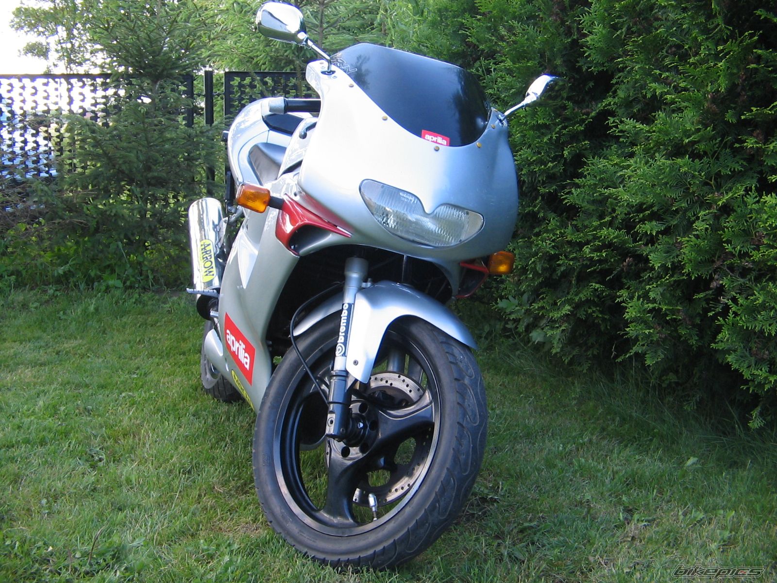 1997 APRILIA RS 50 | Picture 936950 motorcycle photo