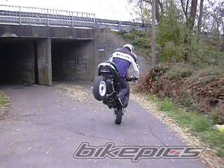 1998 PIAGGIO TPH 50 | Picture 93778 motorcycle photo