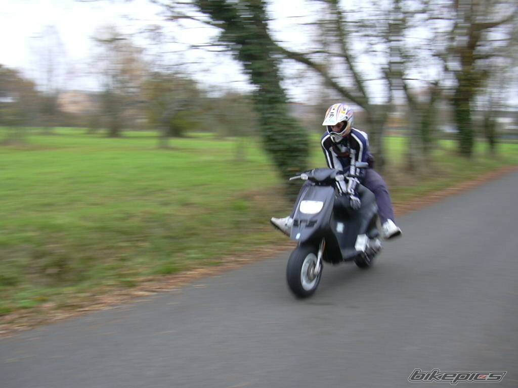 1998 PIAGGIO TPH 50 | Picture 93779 motorcycle photo