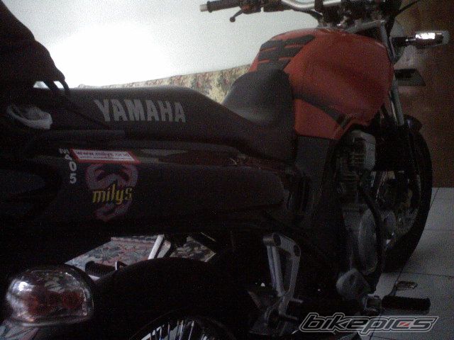 2004 YAMAHA SCORPIO 225 | Picture 937841 motorcycle photo