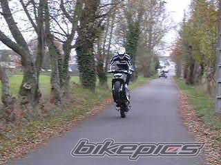 1999 PIAGGIO TPH 50 | Picture 93785 motorcycle photo