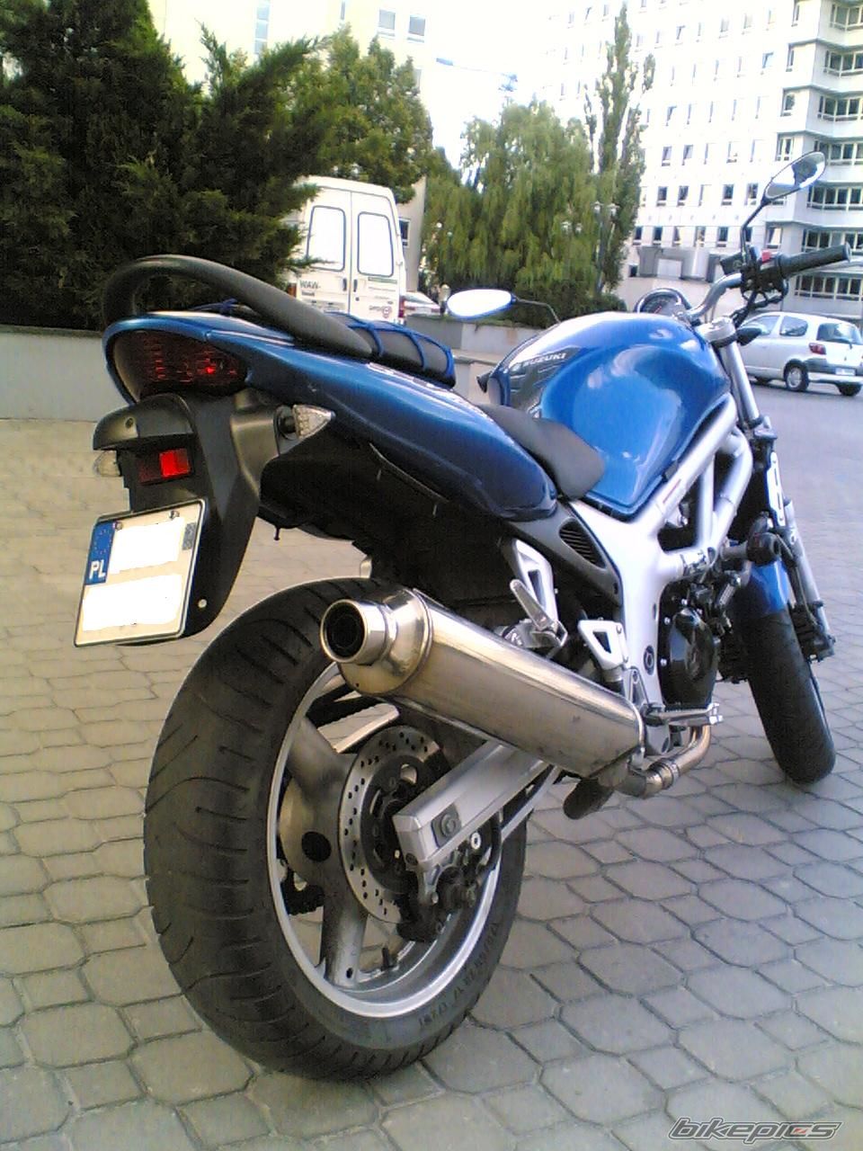 1999 SUZUKI SV 650 | Picture 937874 motorcycle photo