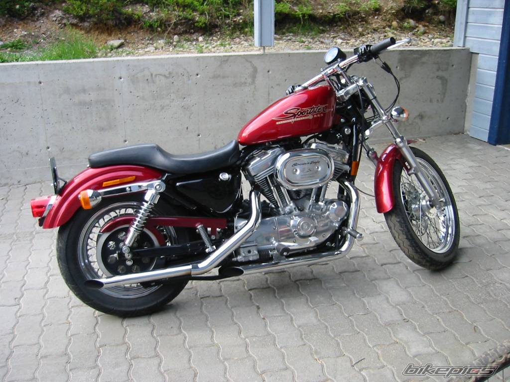 2000 HARLEY DAVIDSON XLH 883 HUGGER | Picture 93870 motorcycle photo