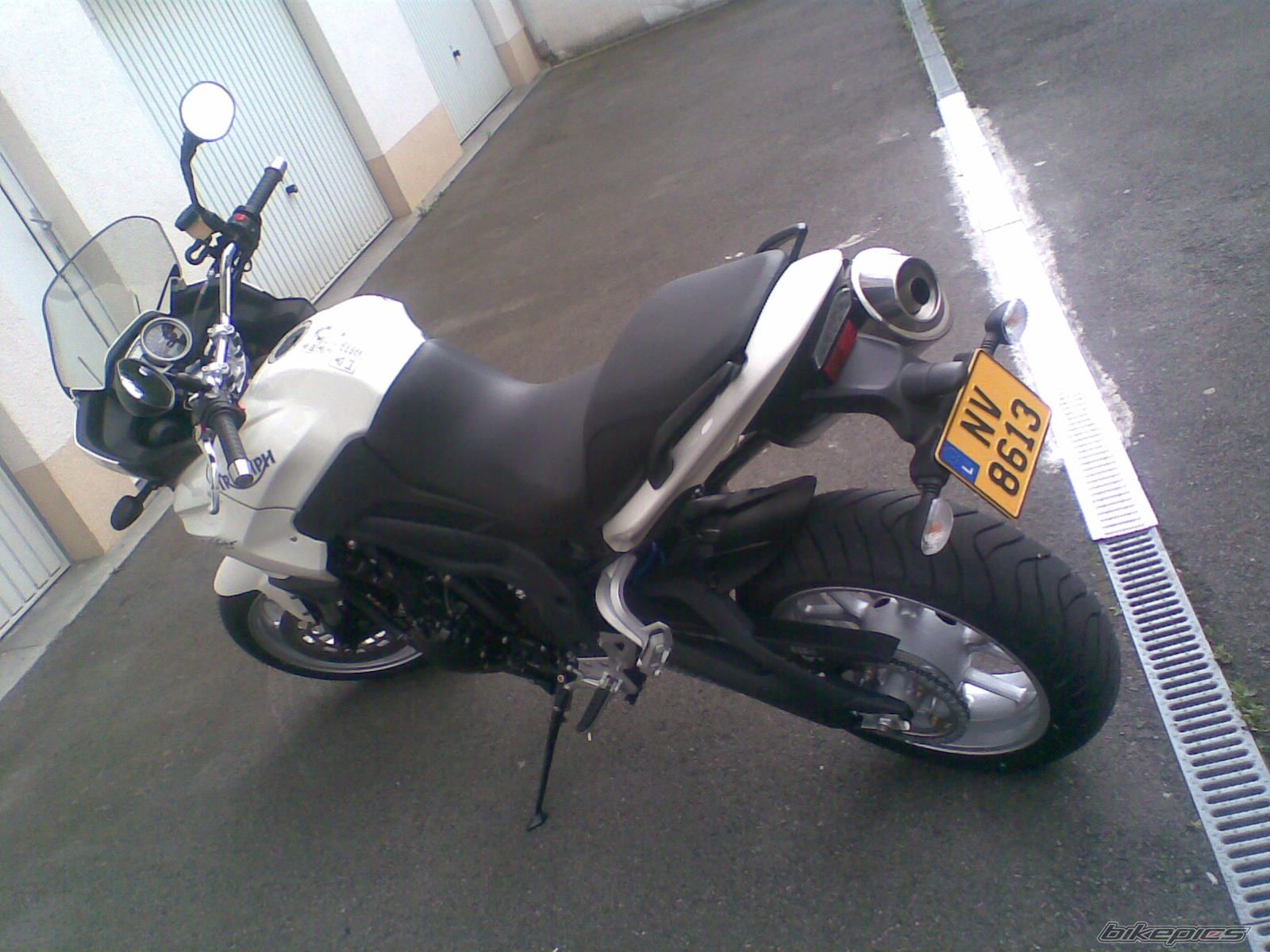 2007 TRIUMPH TIGER | Picture 938788 motorcycle photo