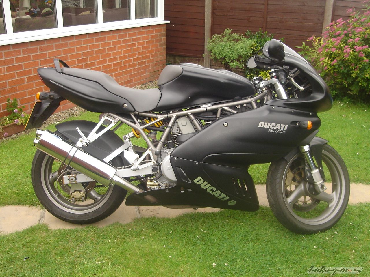 2002 DUCATI 750 SS | Picture 938842 motorcycle photo