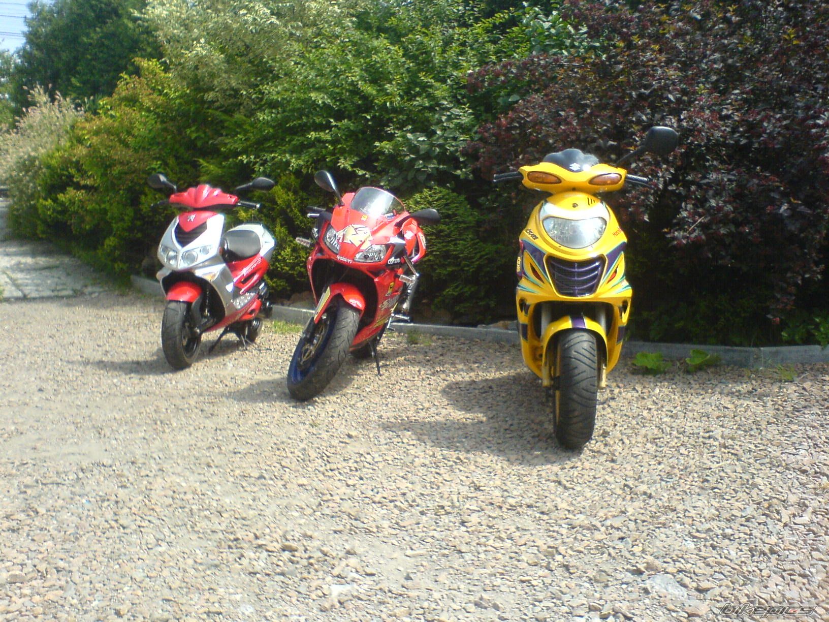 2007 APRILIA RS 125 | Picture 938910 motorcycle photo