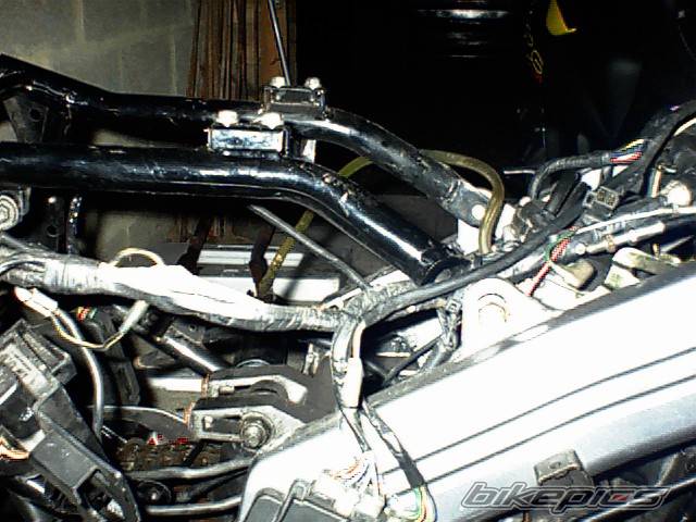 2004 KAWASAKI ZZR 250 | Picture 93914 motorcycle photo