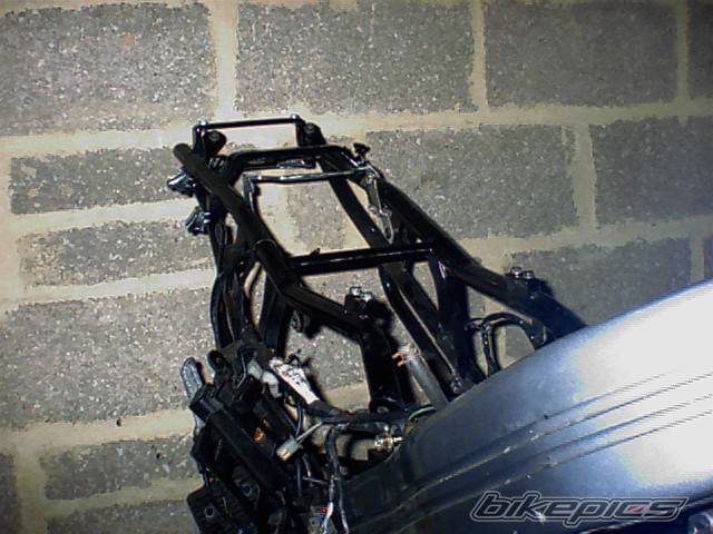 2004 KAWASAKI ZZR 250 | Picture 93923 motorcycle photo