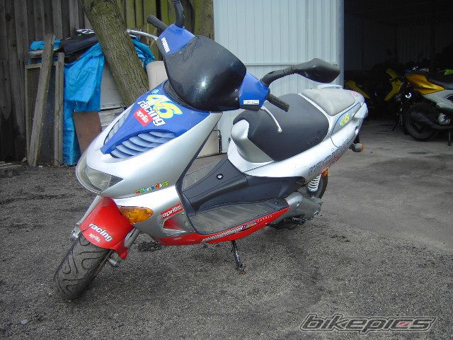 1998 APRILIA SR RACING 50 | Picture 939321 motorcycle photo