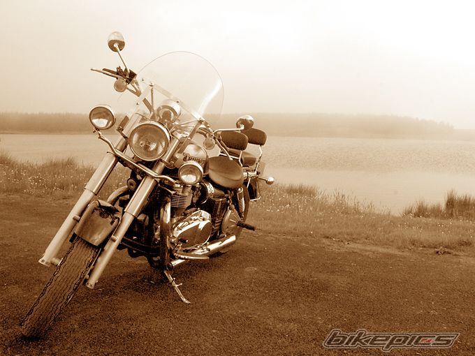 2002 TRIUMPH AMERICA | Picture 939532 motorcycle photo