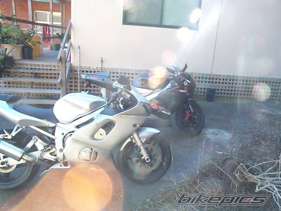 2000 YAMAHA YZF R6 | Picture 93961 motorcycle photo