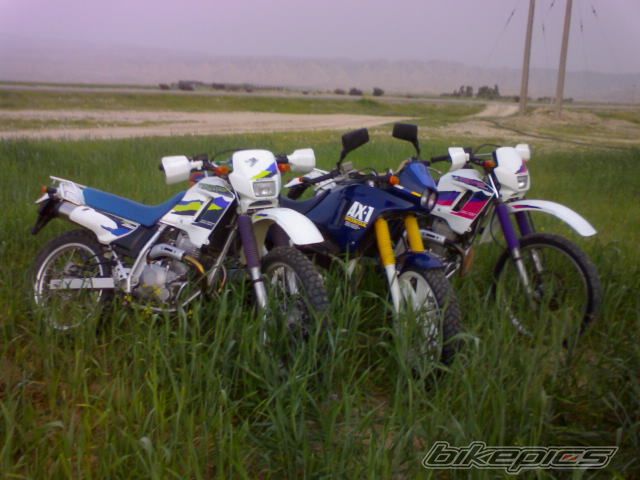 1998 HONDA AX 1 250 | Picture 940230 motorcycle photo