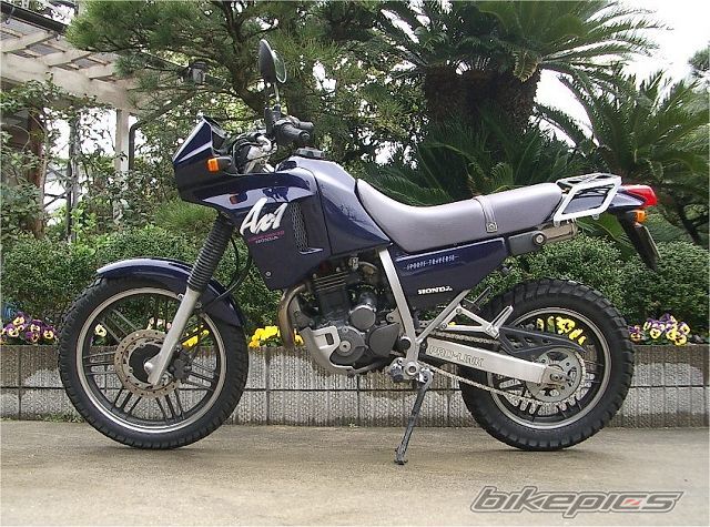1998 HONDA AX 1 250 | Picture 940250 motorcycle photo
