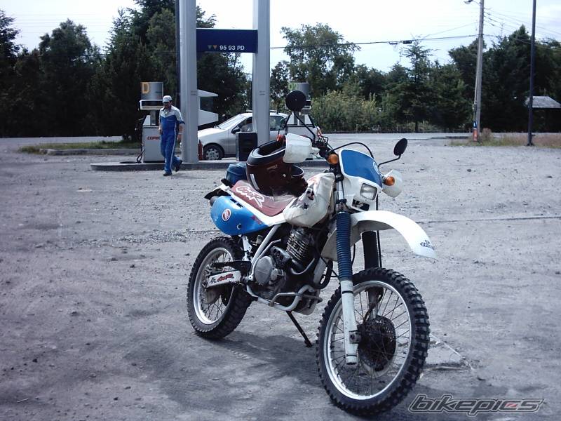 1993 HONDA XR 600 | Picture 94050 motorcycle photo