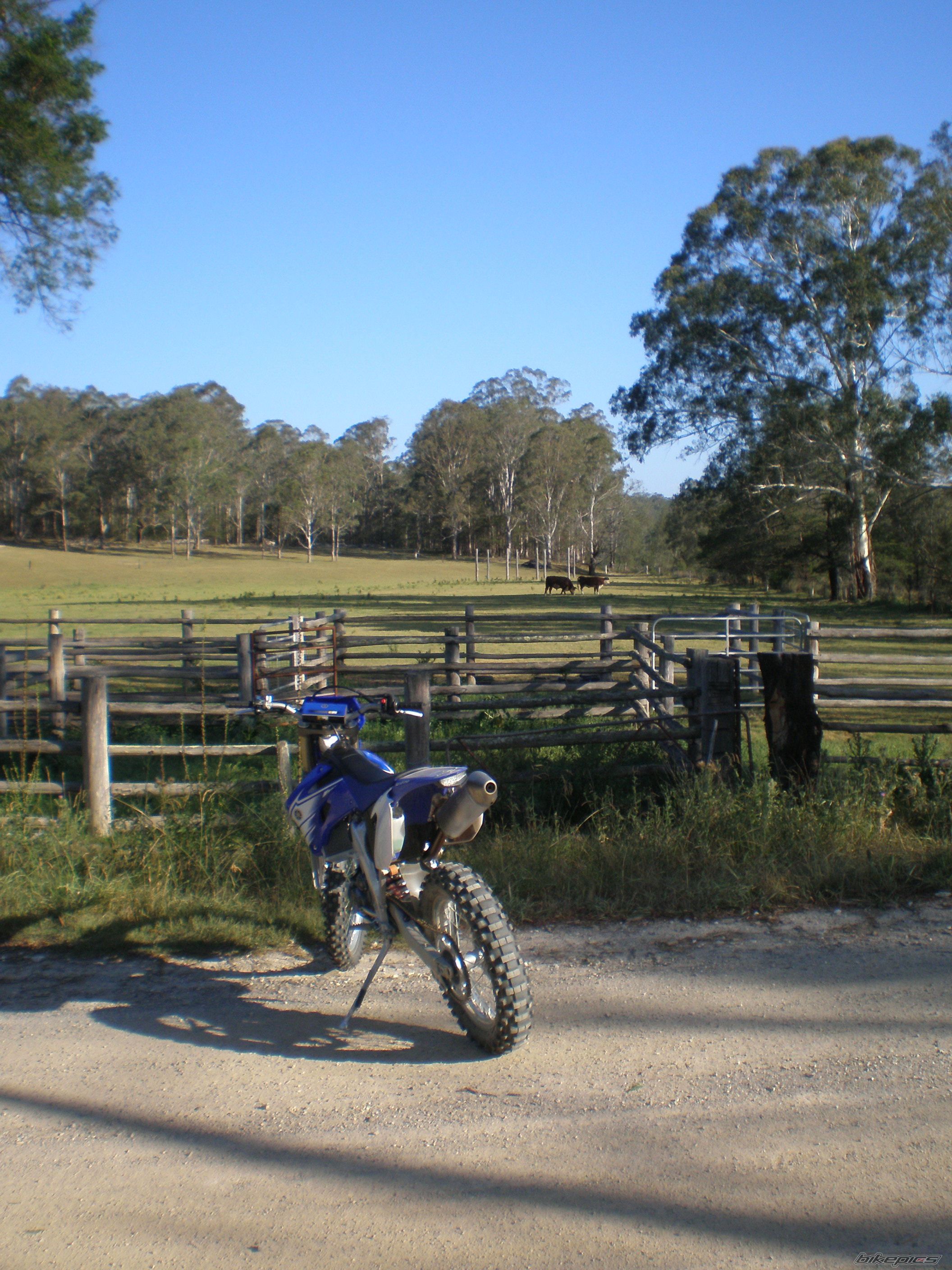 2007 YAMAHA WR450 | Picture 941354 motorcycle photo
