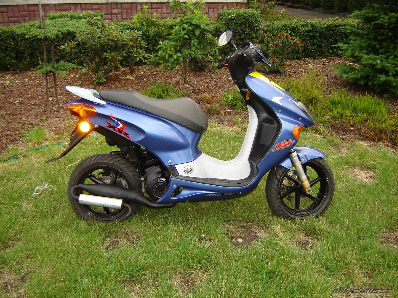 2002 HONDA X8R S | Picture 941355 motorcycle photo