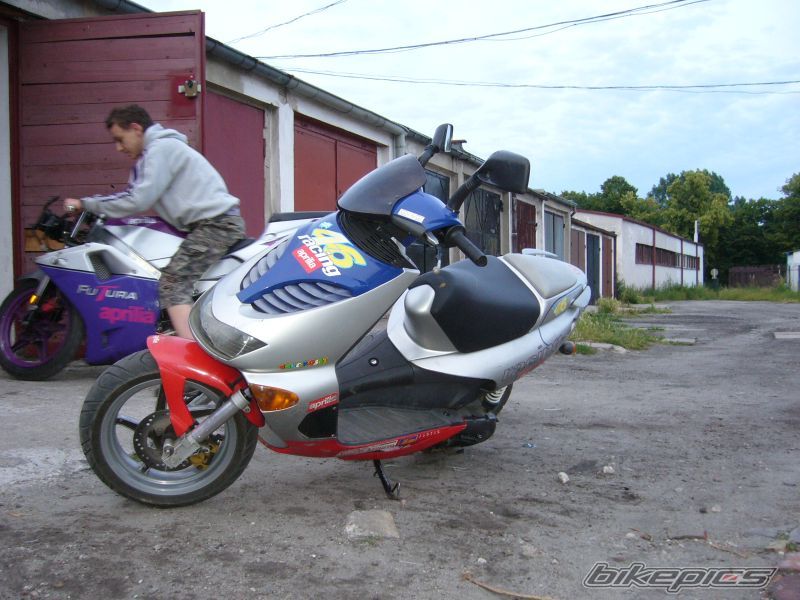 1998 APRILIA SR RACING 50 | Picture 941458 motorcycle photo