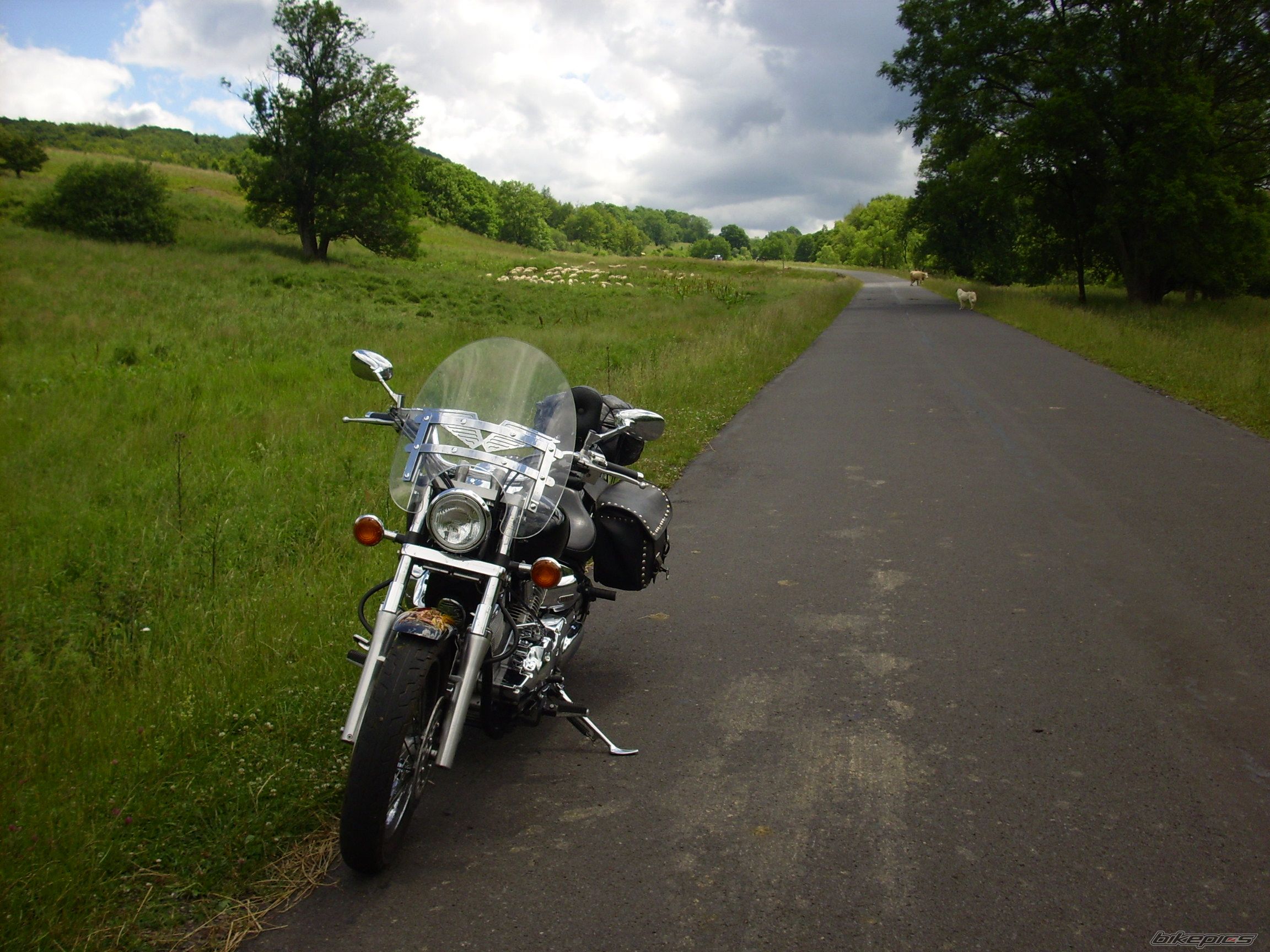 2000 YAMAHA XVS 1100 | Picture 941737 motorcycle photo