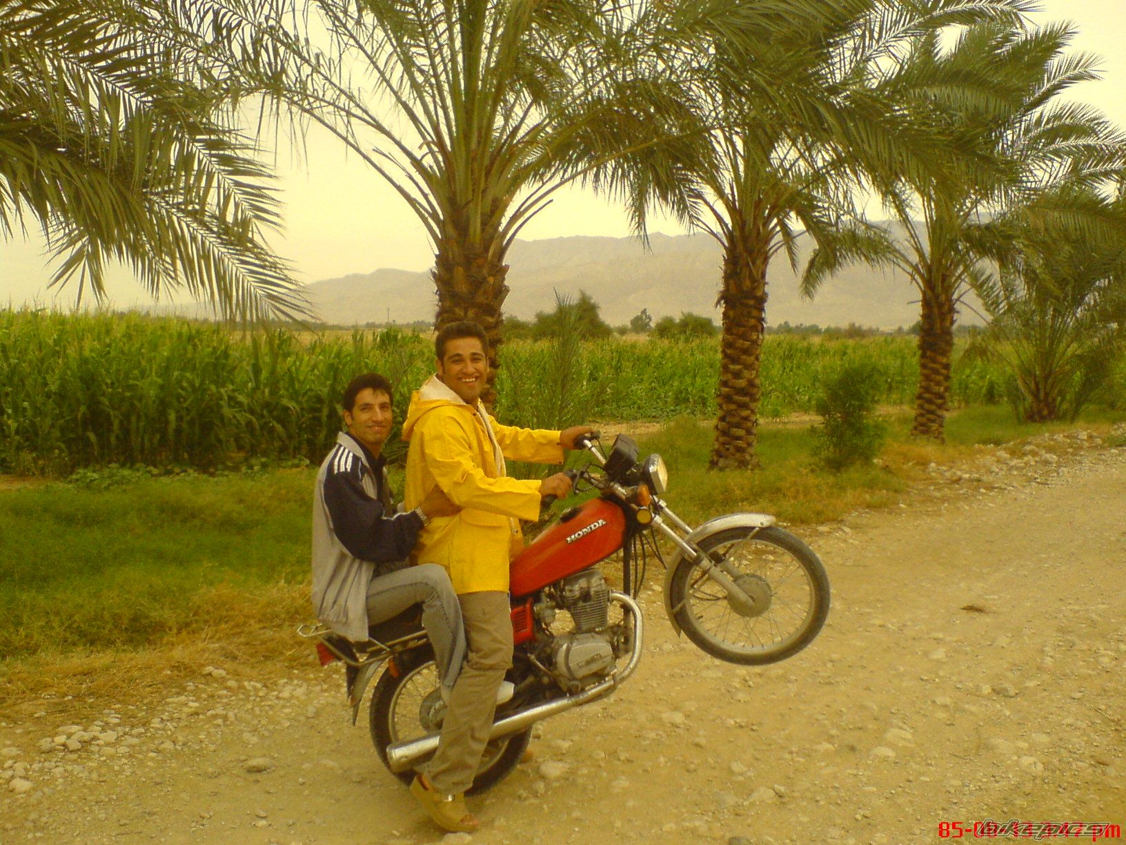 2007 HONDA CDI 125 | Picture 942011 motorcycle photo