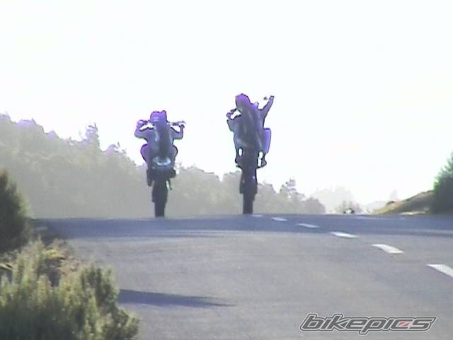 2003 YAMAHA WR 426F | Picture 94238 motorcycle photo