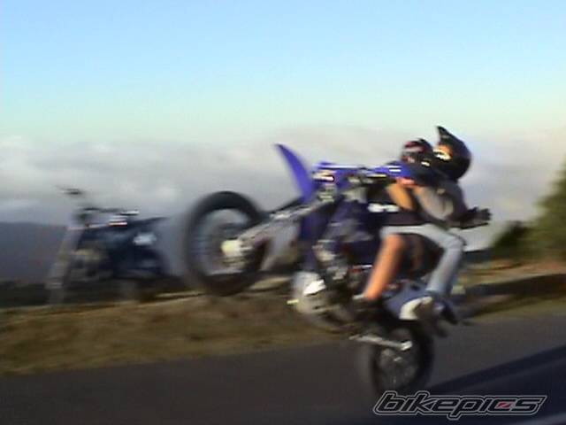 2003 YAMAHA WR 426F | Picture 94246 motorcycle photo