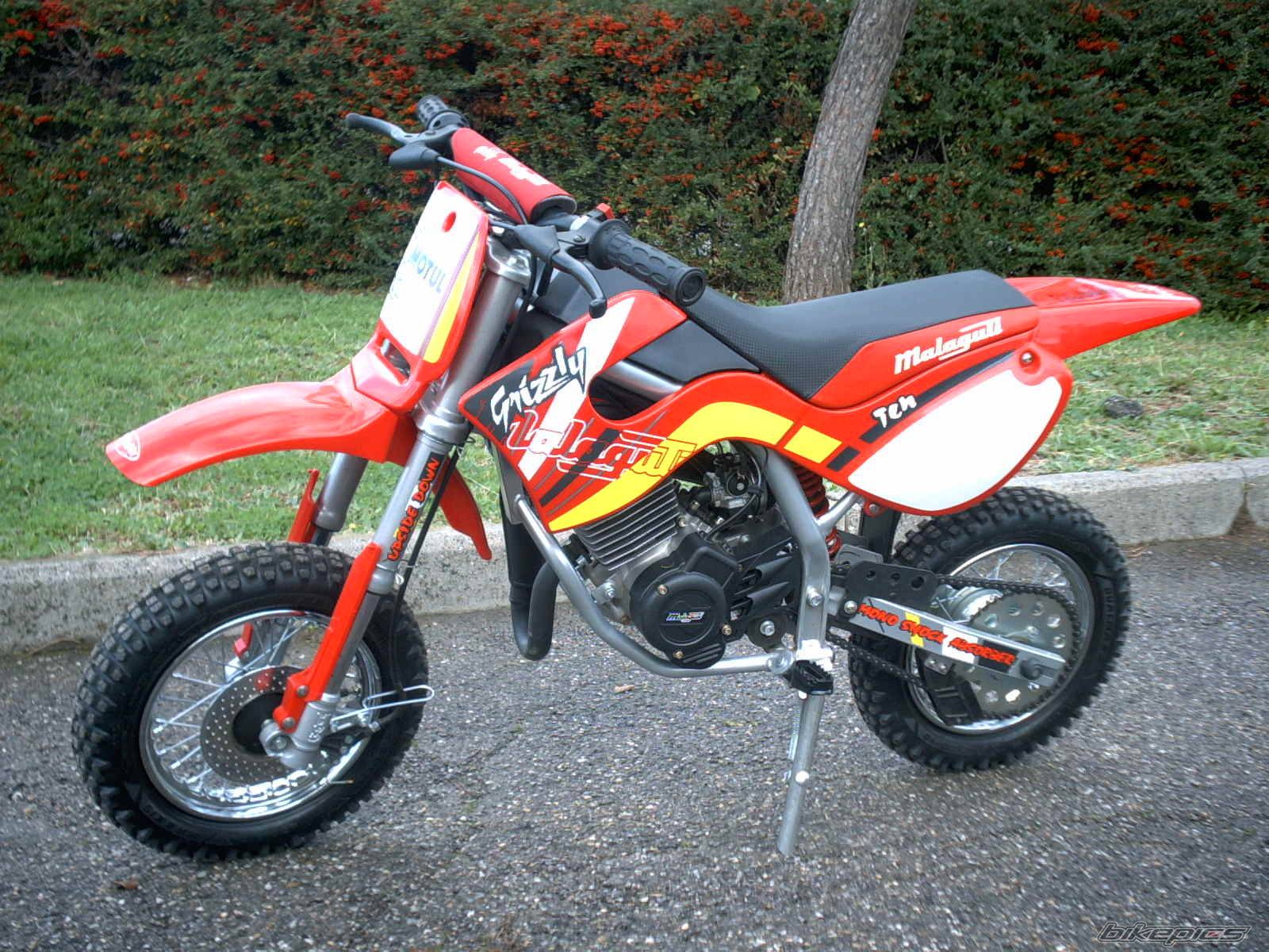 2002 MALAGUTI GRIZZLY RCX 10 | Picture 94247 motorcycle photo