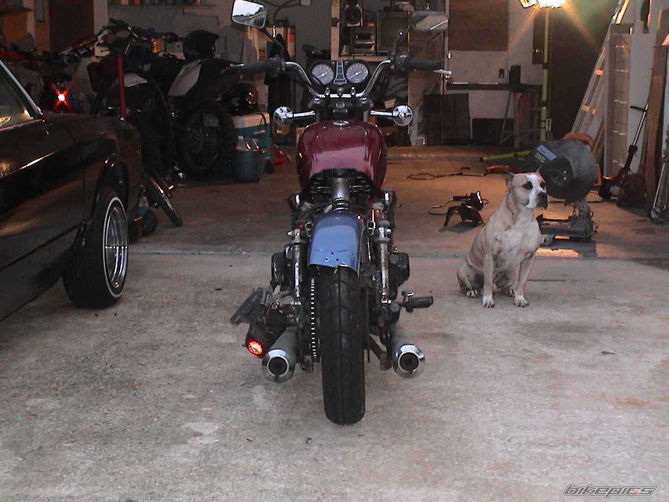 1980 SUZUKI GS 550 | Picture 942970 motorcycle photo