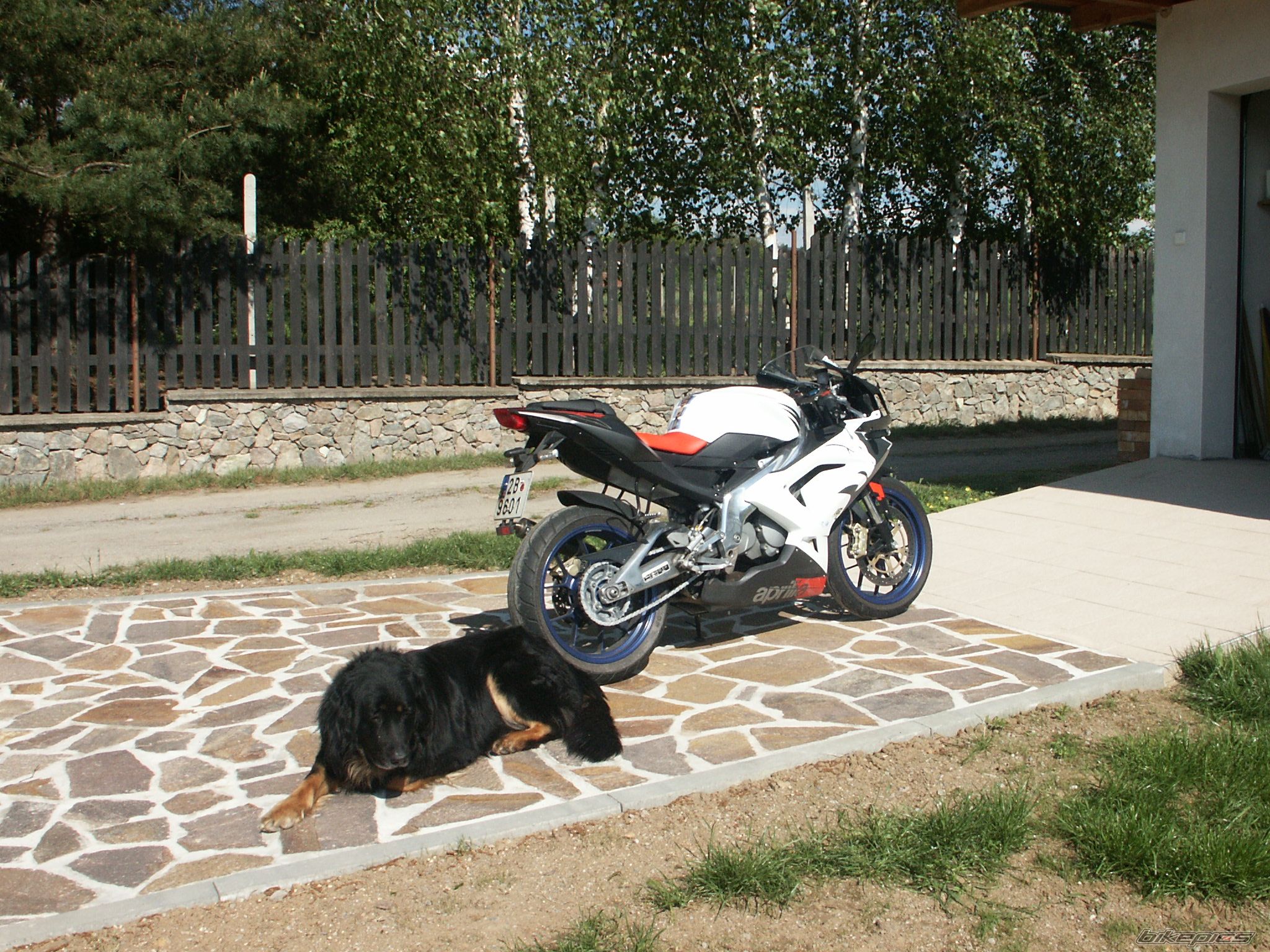 2006 APRILIA RS 125 | Picture 943237 motorcycle photo